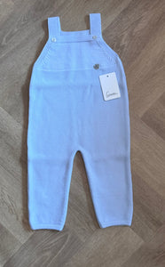 AW24 Blue Dungarees